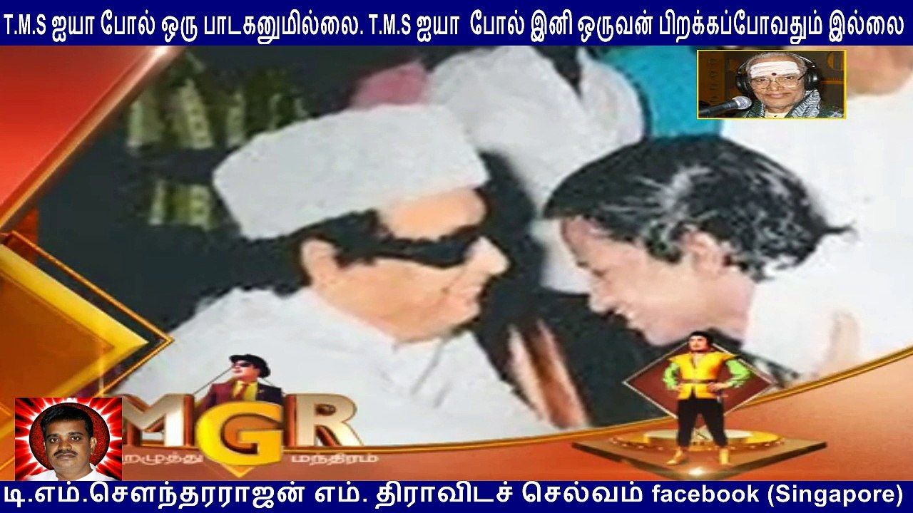 mgr forget tms voice only suitable for mgr  by tms fans