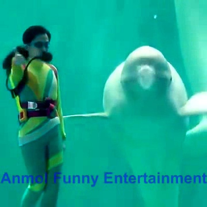 dolphons and girls