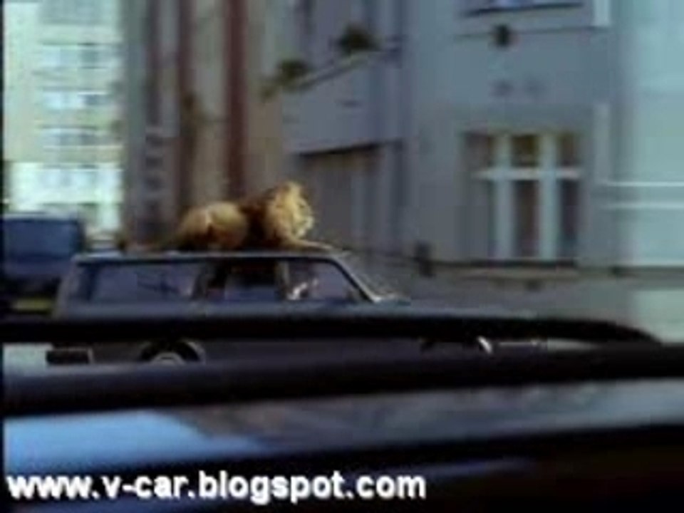 Lion On The Car Roof