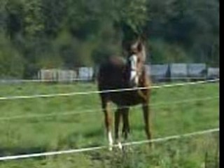 QUEL BONHEUR au pré