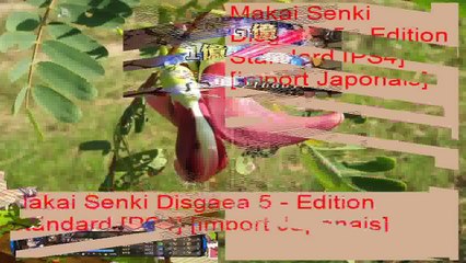 Makai Senki Disgaea 5 Edition Standard PS4 import Japonais