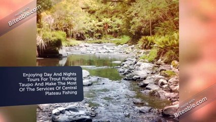 Enjoying Day And Nights Tours For Trout Fishing @Taupo New Zealand