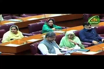 PTI Leaders Gets Angry On Ayesha Gulalai In Parliment..