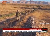 الجيش والمقاومة يسيطران على مرتفعات شعبة القاضي ...