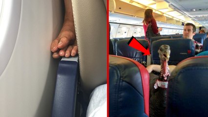 25+ Of The Most Annoying Plane Passengers Ever