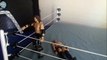 WWE John Morrison Starship Pain FINISHER (Figure Stop Motion)