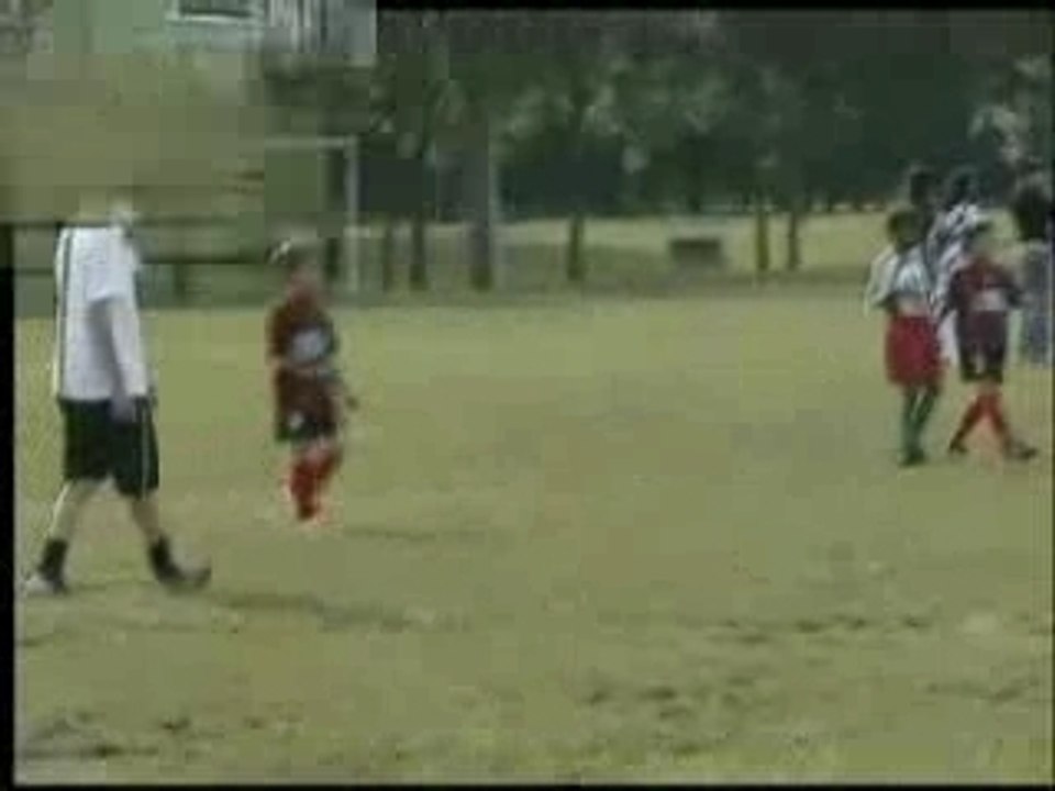 ribery mini