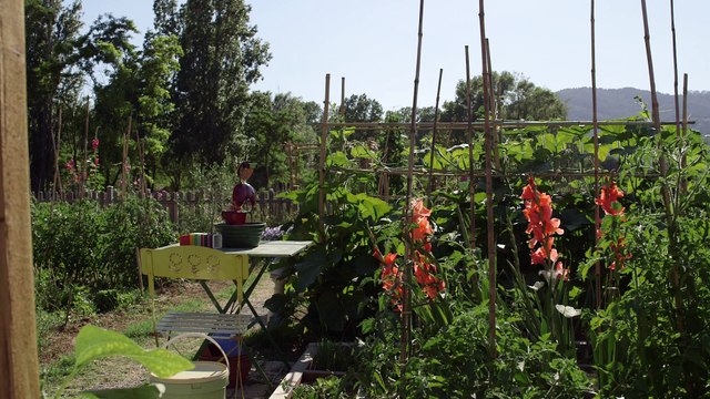 Bienvenue dans mon jardin au naturel 2017 - Les jardins partagés et familiaux