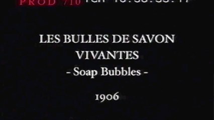 Les bulles de savon vivantes