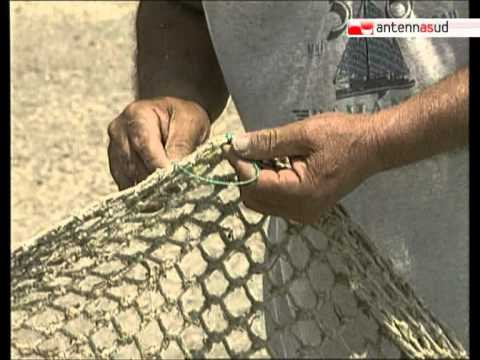 TG 06.08.12 Pesca: da oggi fermo biologico sul mare Adriatico. A tavola solo cozze e vongole