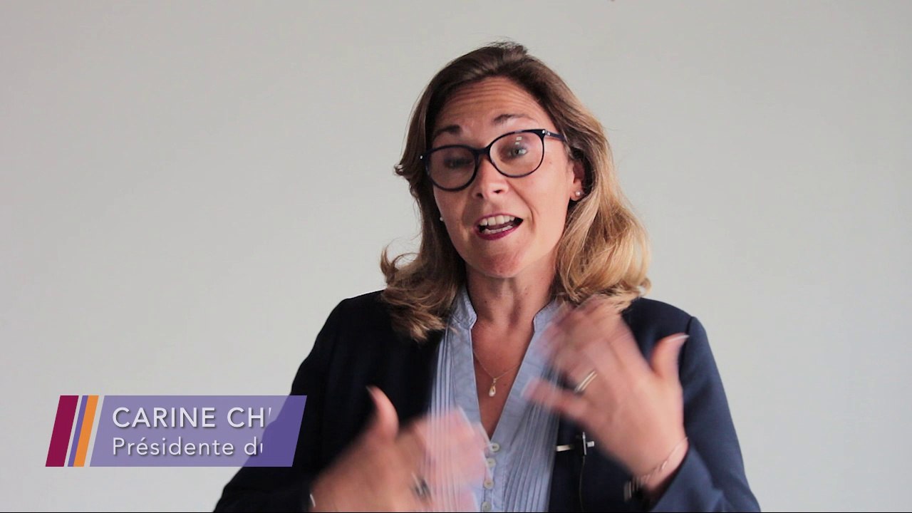 Economie de la fonctionnalité - C. CHESNEAU