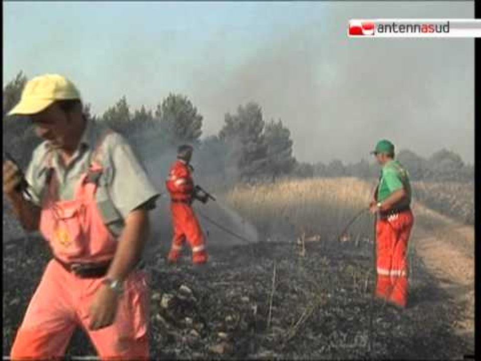 TG 20.08.12 Incendi, alla puglia la maglia nera