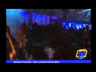 Movida Pugliese   Tanti lavoratori in nero