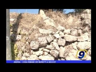 Andria | Cosa rimane dei muretti a secco