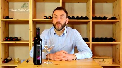 Andrea's Wine Conversations - Syrah