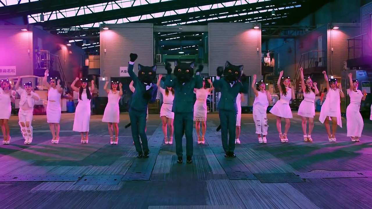 「ネコふんじゃった」がダンスミュージックに！美女ネコ軍団も踊る！ミュージックビデオ「NEKO FUNJATTA | Dancing Black Cats」