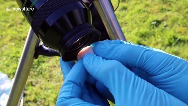 L'effet des rayons de soleil sur un oeil : il brûle !!