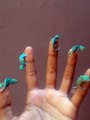 Five little Chameleons hang out on fingers