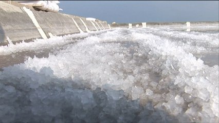 "هذا الصباح"-منتجو الملح بلبنان يخشون اندثار المهنة