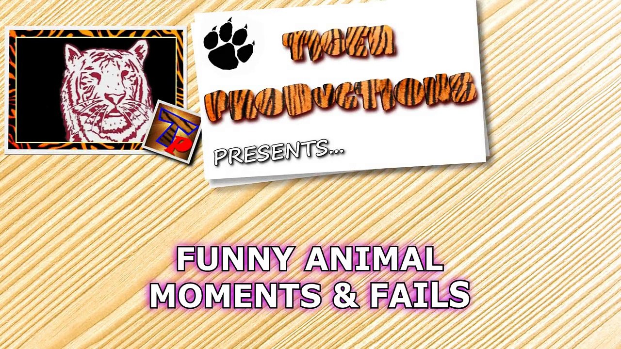 STOP LAUGHING IF YOU CAN - Extremely FUNNY ANIMAL compilation