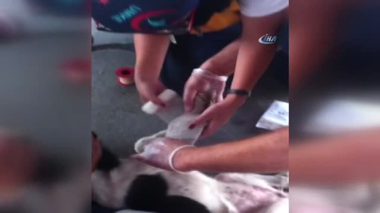 Sakarya ve Sivas Umke Ekiplerinden Örnek Davranış