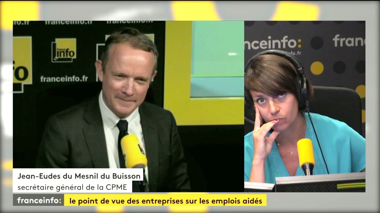 "L'objectif des contrats aidés a été dévoyé" affirme Jean-Eudes du Mesnil du Buisson