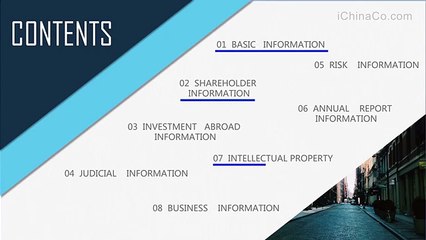 Verify Chinese Company