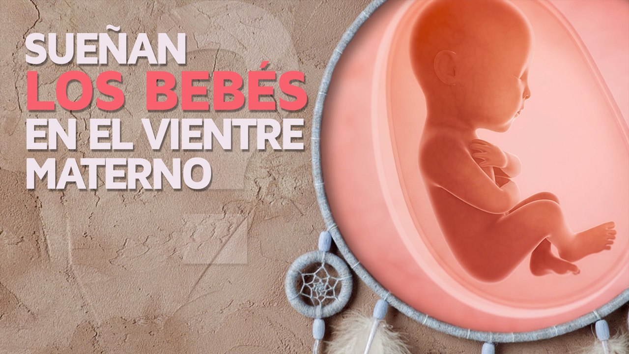 ¿Con qué sueñan los bebés en el vientre materno?