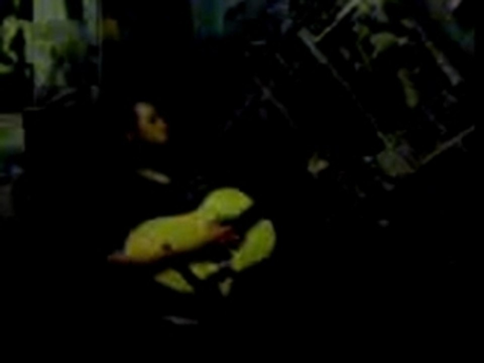 MOV00003