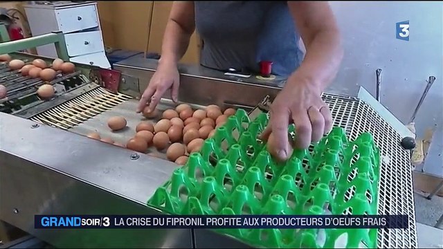 La crise des œufs contaminés profite aux petits producteurs