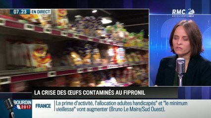 Dupin Quotidien : Où en est la crise des œufs contaminés au Fipronil ? - 21/08