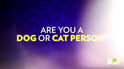 Jerry OConnell Sure Does Love His Pets