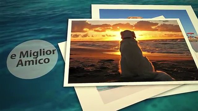 Little Pet friendly resorts Liguria