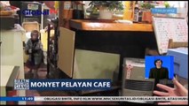 Monyet Pelayan Rumah Makan