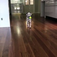 Most pedig nagyon félelmetes leszek...