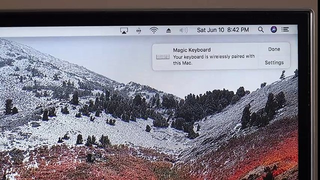 Apple Magic Keyboard (Numeric Keypad)- Review