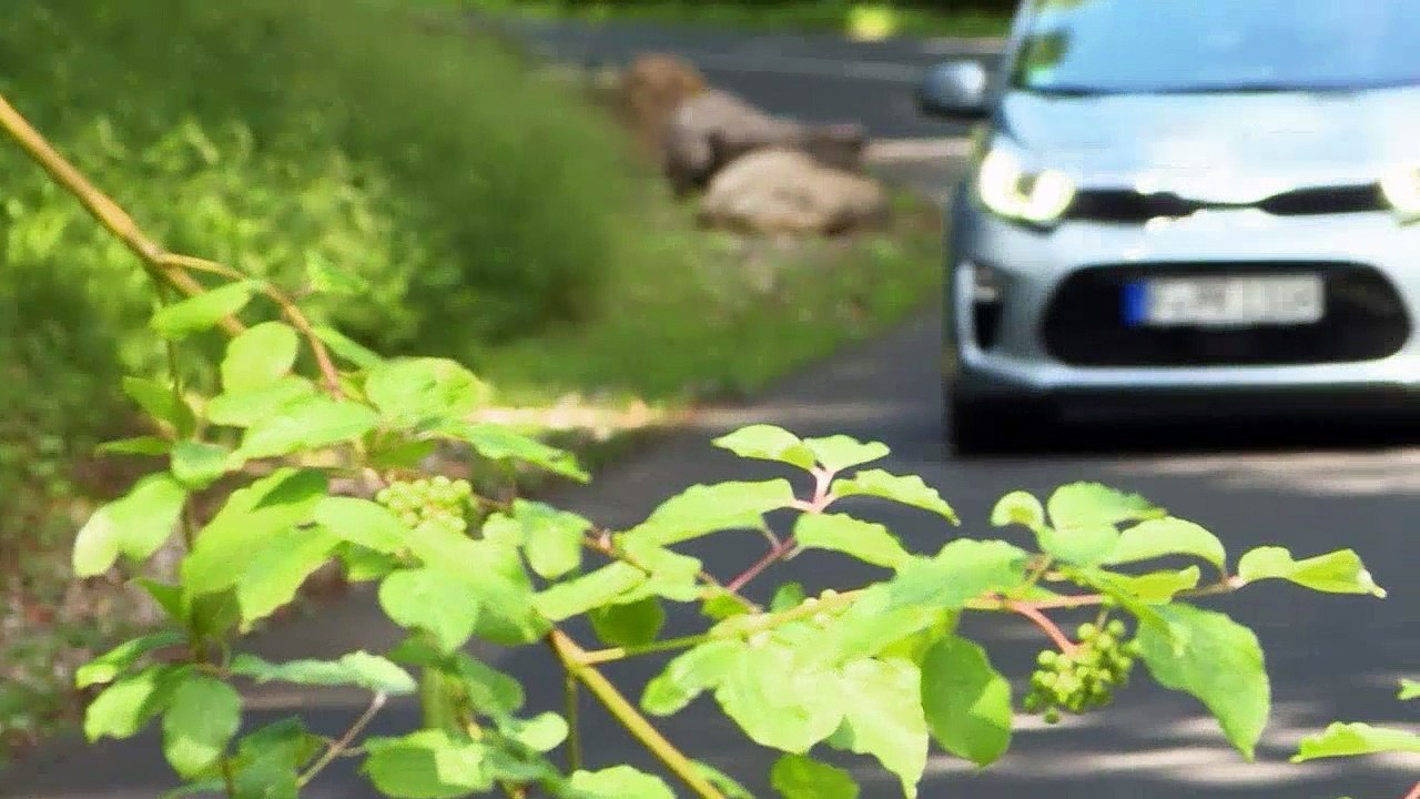 Geräumiger: kia picanto | dw deutsch