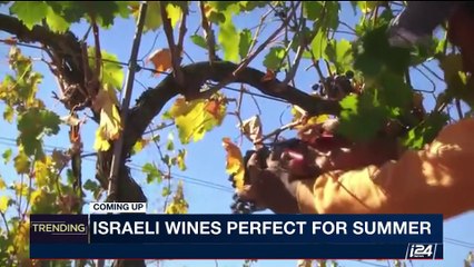 TRENDING |  With Emily Frances  | Tuesday, August 22nd 2017