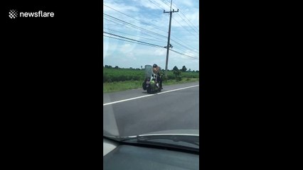 Motorcyclist cruises down busy road with two pet huskies