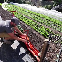 Technology for Agriculture,Agriculture