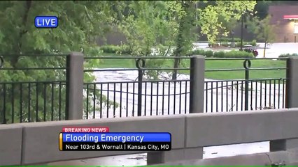Woman Rescued from Tree After Car is Swept Away in Flood
