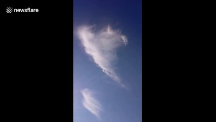 Cloud shaped like a unicorn spotted in the US