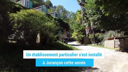 Un hôtel pour chats à Jurançon !