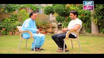 Haal e Dil Episode 198 in High Quality on Ary Zindagi 22nd August 2017