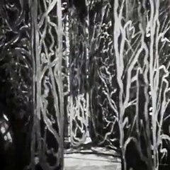 DoctorWho Klasik Seri-2.Sezon 17.Bölüm-The Zarbi-part2