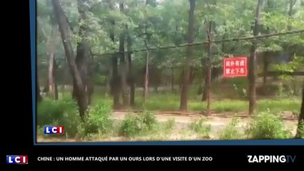 Chine : un homme attaqué par un ours lors d'une visite au zoo (vidéo)