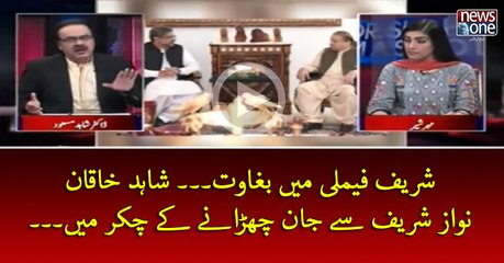 #NawazSharif Family Mein Baghawat... #ShahidKhaqanAbbasi   #NawazSharif Sey Jaan Churaney Key Chakar Mein