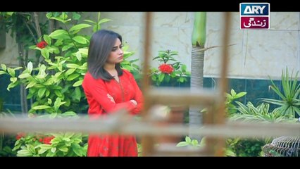 Haya Kay Rang Episode 139 In High Quality on Ary Zindagi 22nd August 2017