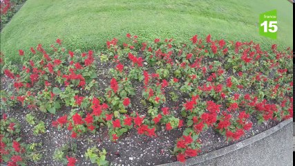 Tour d'Europe de Zaz et Benj épisode 4