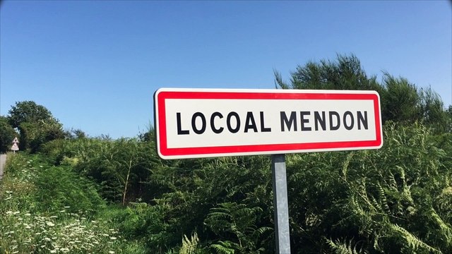 Mobilisons-nous pour la Ria ! Chantiers participatifs pour limiter la progression du Baccharis à Locoal-Mendon.